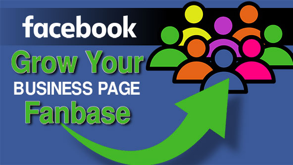 how to see followers facebook business page 1